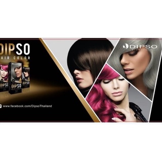 ดิ๊พโซ่ สีย้อมผม ไม่มีแอมโมเนีย 110กรัม กล่องใหญ่ คุ้มค่า Dipso Hair Color without Ammonia