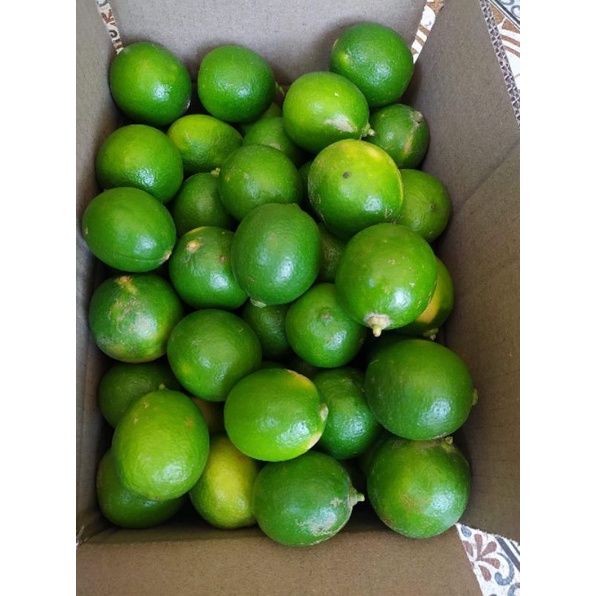 มะนาวไร้เมล็ด( พันธุ์ตาฮิติ ) 🍋เปลือกบาง น้ำเยอะ เก็บสดใหม่ทุกออเดอร์❌ อ่านรายละเอียดก่อนสั่งซื้อนะคะ