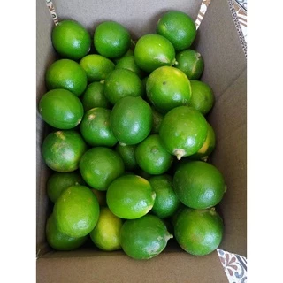 มะนาวไร้เมล็ด( พันธุ์ตาฮิติ ) 🍋เปลือกบาง น้ำเยอะ เก็บสดใหม่ทุกออเดอร์❌ อ่านรายละเอียดก่อนสั่งซื้อนะคะ