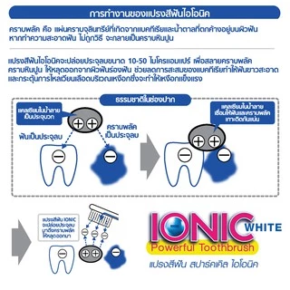SPARKLE แปรงสีฟัน ไอออนิค หัวเล็ก 1 ชิ้น (คละสี) รุ่น Ionic (10SK00059)