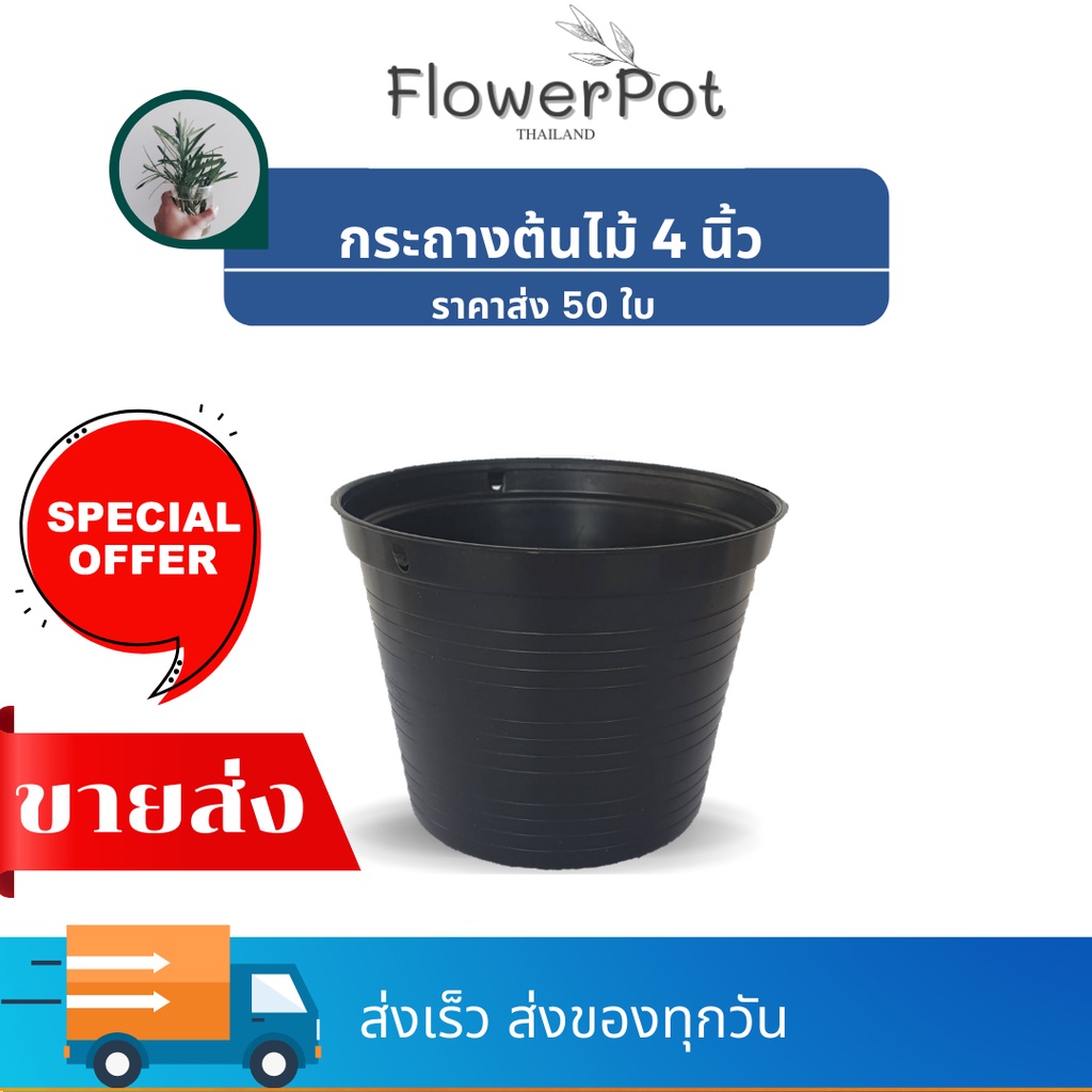 (50 ใบ) กระถางต้นไม้ 4 สีดำ ปลูกแคคตัส กระบองเพชร ไม้อวบน้ำ