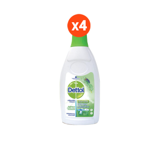 [ลด100.-ใส่DETTMAT2] Dettol Laundry Sanitizer 750 ml. X4