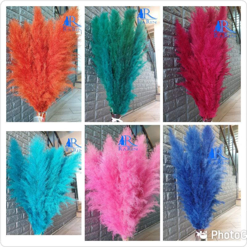 Rarin ดอกเลา ย้อมสี(หลากสี) 1ก้าน ‼️พร้อมส่ง‼️ขนาด 90-100 cm.ดอกรวมก้าน ดอกไม้ธรรมชาติ ดอกฟุ้งฟิ้ง ราคา ถูกที่สุด ดีลบีเคเค