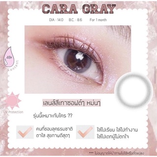 คอนแทคเลนส์รายเดือน รุ่น Cara Gray bylensland