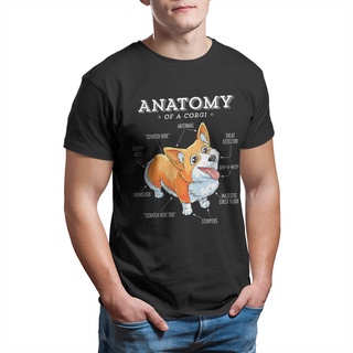 เสื้อยืดผ้าฝ้ายพิมพ์ลายคลาสสิก พร้อมส่ง เสื้อยืดแขนสั้น พิมพ์ลาย Corgi Anatomy Of A Corgi หลากสี สไตล์ฮาราจูกุ สําหรับผู