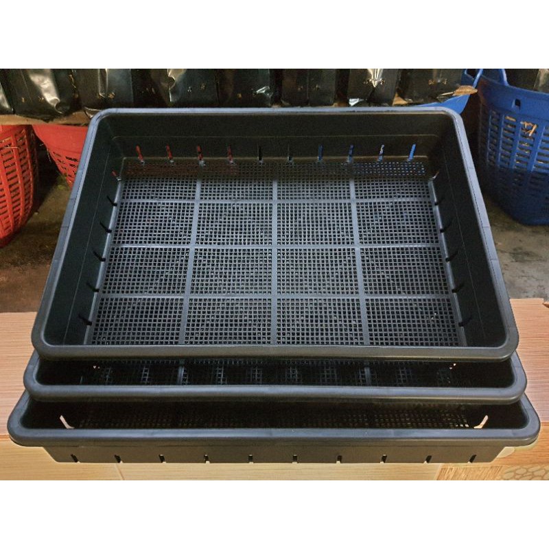 ถาดเพาะชำอเนกประสงค์ ถาดเพาะเมล็ด ถาดอเนกประสงค์แบบมีรูระบายจำนวน 3 ถาด