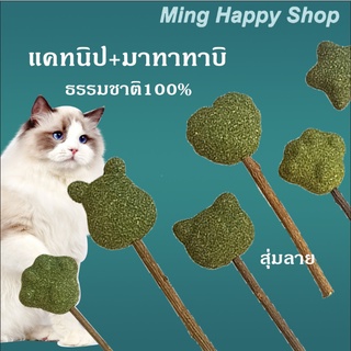 Ming แคทนิป มาทาทาบิ แคทนิปและมาทาทาบิแมว ของเล่นแมว catnip/matatabi