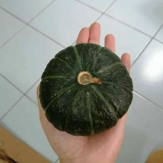 ฟักทองญี่ปุ่นมินิ 🎃 japanese pumpkin 1กก./3-4ลูก