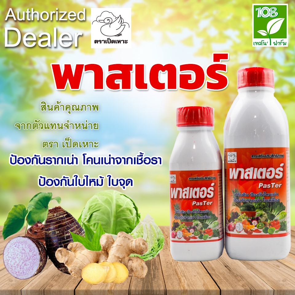 สารเสริมสร้างความแข็งแรง พาสเตอร์ ตรา เป็ดเหาะ ป้องกันรากเน่า โคนเน่าจากเชื้อรา ป้องกันใบไหม้ ใบจุด
