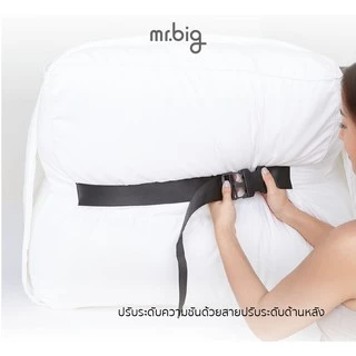 mr.big GERD Pillow หมอน Ergonomic สำหรับผู้ป่วยกรดไหลย้อน ปรับระดับได้ พร้อมปลอกถอดซัก