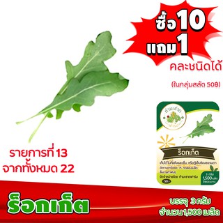 (ซื้อ10แถม1 ฟรีคู่มือ) เมล็ดพันธุ์ ร็อกเก็ต ROCKET 3กรัม (ประมาณ 1,500เมล็ด) ทำมะชาดฟาร์ม ผักสลัด เมล็ดพันธุ์สลัด