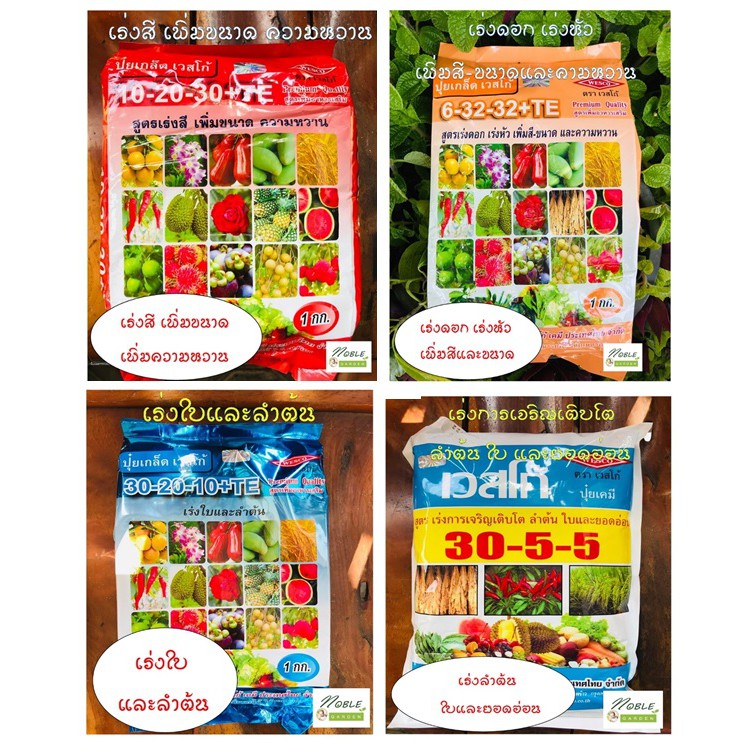 !!!ครบทุกสูตร ยอดนิยม ปุ๋ยเกล็ด เวสโก้ สูตร 10-20-30+TE, 6-32-32+TE ,8-24-24+TE ,30-20-10 ,30-5-5  แ