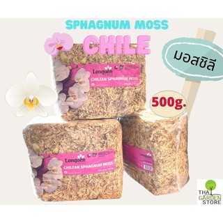 สแฟกนั่มมอส มอส ปลูกต้นไม้ ชิลี 500 g. (Chilean Sphagnum Moss)