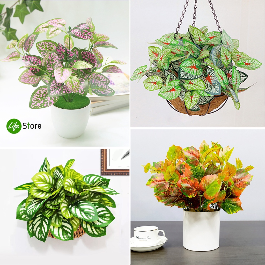 ต้นไม้ประดับหลากสไตล์หลายชนิดรุ่นJC-02 ต้นไม้ประดิษฐ์ สวยงามเสมือนจริง  (พร้อมส่งในไทย ถึงเร็วทันใจ)