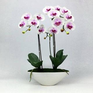 OrientalFineArt ดอกกล้วยไม้ปลอม phalaenopsis  จัดในกระถางเซรามิคสีขาวทรงเรือสไตล์โมเดิร์น(AM-10-W F36)