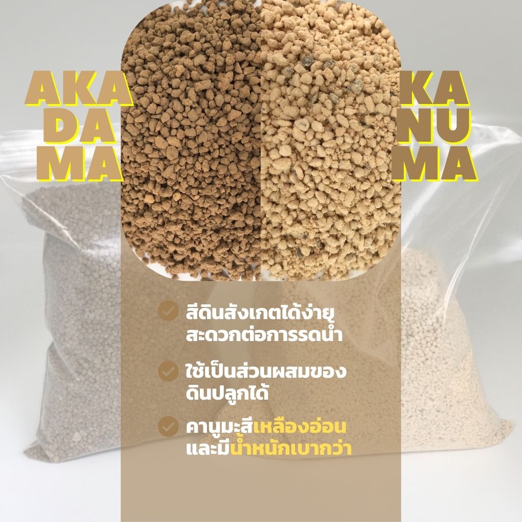 ดินญี่ปุ่น🇯🇵อาคาดามะ และคานูมะ โรยหน้ากระถาง Akadama Soil & Kanuma Soil