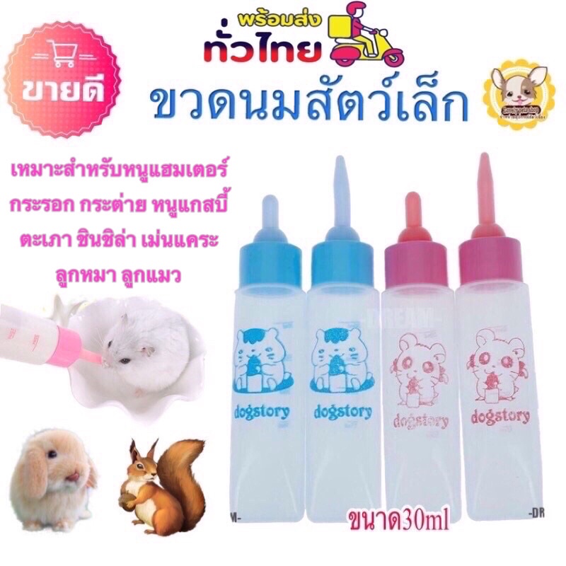 พร้อมส่ง ขวดนมสำหรับป้อนสัตว์เล็กเหมาะสำหรับหนูแกสบี้ กระรอก กระแต หนูตะเภาขนาด30 ml