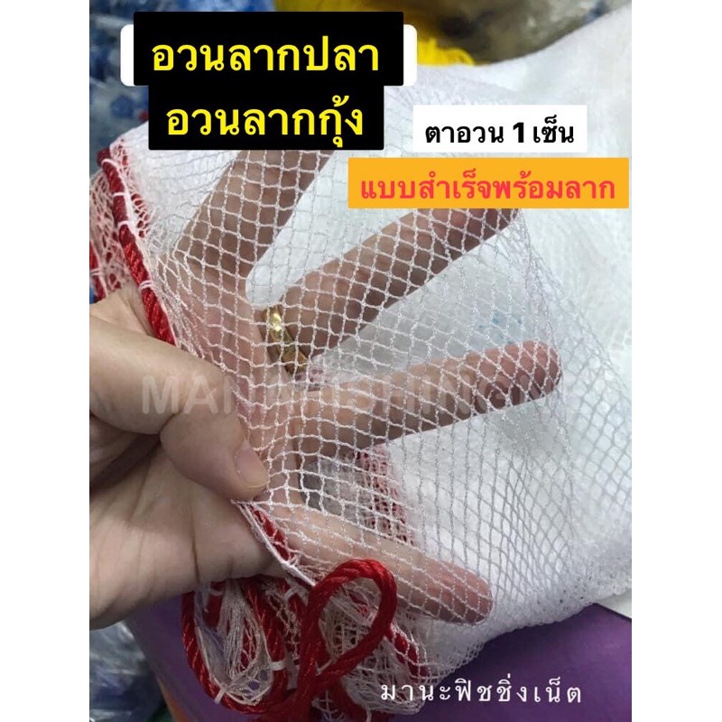 My Image 10