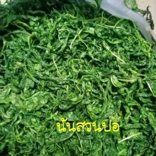 ใบปอสดต้มเกลือ (1 กก.) ปออ่อน ปอสดจากสวน ยังไม่ผัด