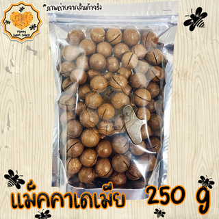 แมคคาเดเมีย 250g macadamia แมคคาเดเมียอบ ธรรมชาติ แม็คคา แมคา แม๊คคา แม็คคาเดเมียอบ ถั่ว ธัญพืช ถั่วธัญพืช