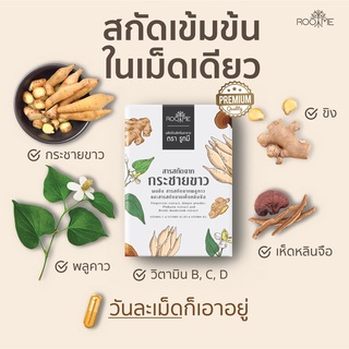 🔥กระชายขาวสกัด 𝐁𝐲  𝐑𝐨𝐨𝐭𝐦𝐞🌱