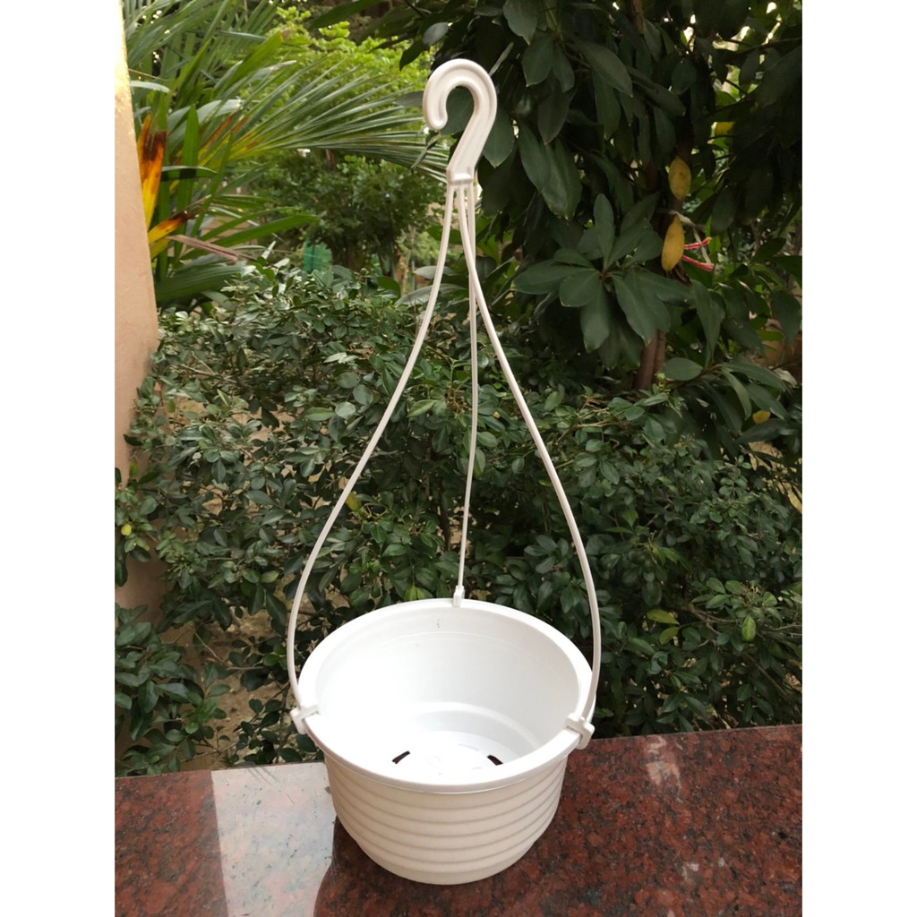 กระถางต้นไม้ กระถางพลาสติก กระถางแขวน ขนาด 8 นิ้ว - รูปที่ 6