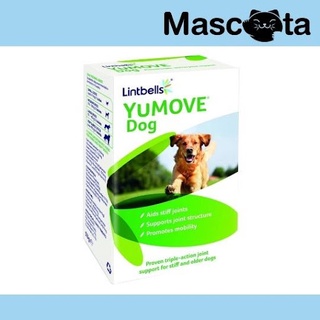 กระดูก Yumove60เม็ด เกรดพรีเมียม