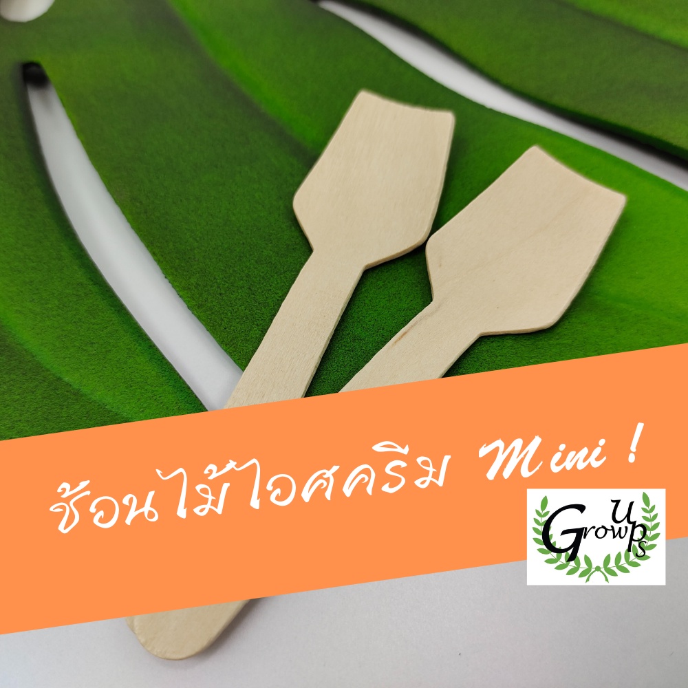ช้อนไม้ ไอศครีม ใช้แล้วทิ้ง ผลิตจากไม้ ขนาดเล็กหัวตัด ขนาด 9.5 cm.Food Grade(แพ็ค100ชิ้น)