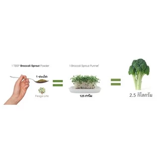 ผงต้นอ่อนบร็อคโคลี่ เข้มข้นกว่าบร็อคโคลี่สด Organic Broccoli Sprout Powder - Feaga Life 200 กรัม