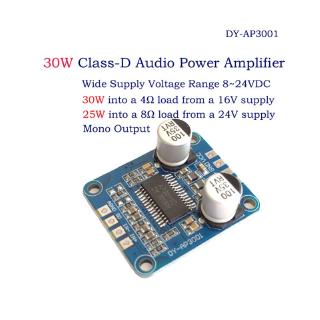 DY-AP3001 High Power Digital Amplifier Module Mono Class D DC 12V 24V 8V-24V