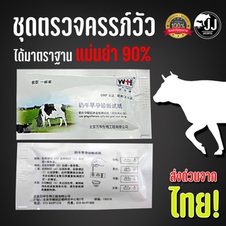 ชุดตรวจครรภ์วัว แบบมาตราฐาน *ส่งตรงจากไทย!!🐄🐄🐄