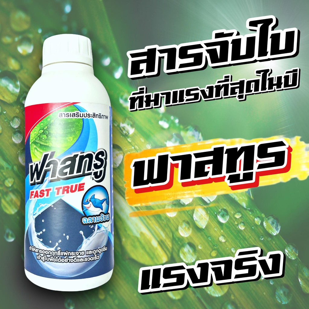 ฟาสทูร 1 ลิตร ส่งฟรี จับใบ คุมไข่แมลง เพิ่มแมกนีเซียม แทรกซึมเร็ว แอ็ปซ่า แอปซ่า แอปซ่า 80 เอฟอช เตชิน รันนิ่ง