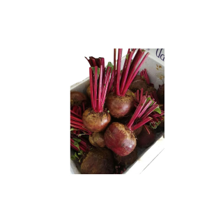 โปรโมชั่น : บีทรูทสด สำหรับคนรักสุขภาพ ฺBeetroot