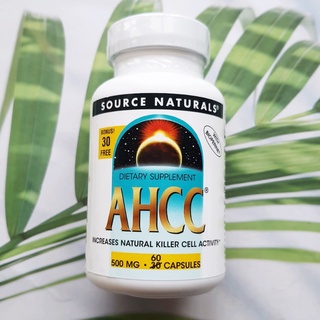 AHCC® 500 mg 60 Capsules + BioPerine®, Increases Natural Killer Cell Activity  (Source Naturals) กระตุ้นภูมิคุ้มกัน