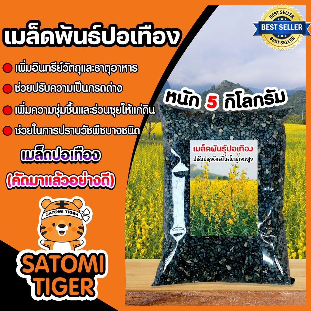 เมล็ดปอเทือง แพ็คละ 5 กิโลกรัม พันธ์ปอเทือง เม็ดปอเทือง ดอกปอเทือง ปอเทืองดอกเหลือง ต้นปอเทือง ปอเทือง