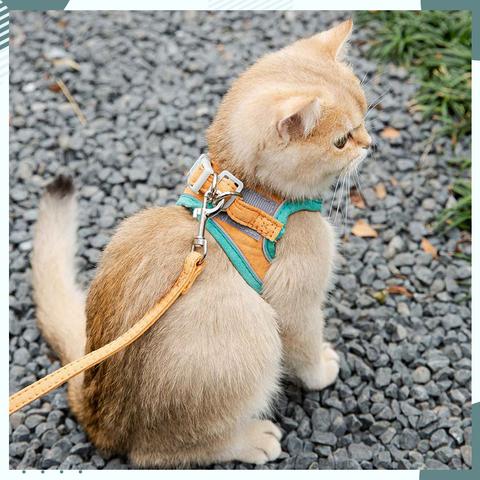 Yufeipet สายจูงแมวเสื้อกั๊กสายรัดปรับระดับได้ 1 . 5 เมตรสําหรับสัตว์เลี้ยง เชือกจูงแมว สายรัดอกแมว สายจูงสัตว์เลี้ยง เชือกจูงสุนัข สายจูงสุนัขS-3XL