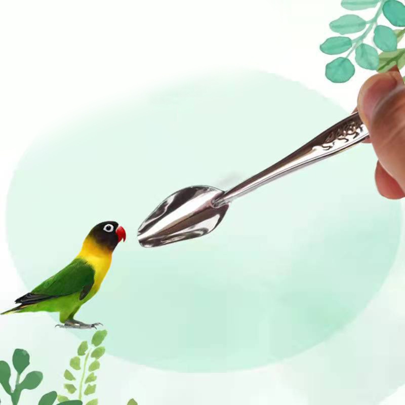 Bo Bird Feeder ช้อนสแตนเลสช้อนให้อาหารน้ําสําหรับยานมโลหะขนาดเล็ก Feed Scoop สําหรับ Parrot Canary