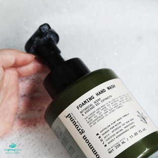 Common Ground Foaming Hand Wash โฟมล้างมือ Healing Tea Tree สารสกัดจากน้ำมันอะโวคาโด คอมมอน กราวด์ Hand Foam