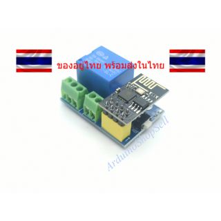 (048) Relay ESP-01S ESP8266 (ไม่มีเก็บปลายทาง)