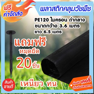 **ส่งฟรี**พลาสติกคลุมวัชพืช PE120 ไมครอน กว้าง 3.6 เมตร ยาว 6.5 เมตร แถมฟรีหมุดยืด 20ชิ้น ดำกล่าง หนา ทน เหนียว คุ้มค่า