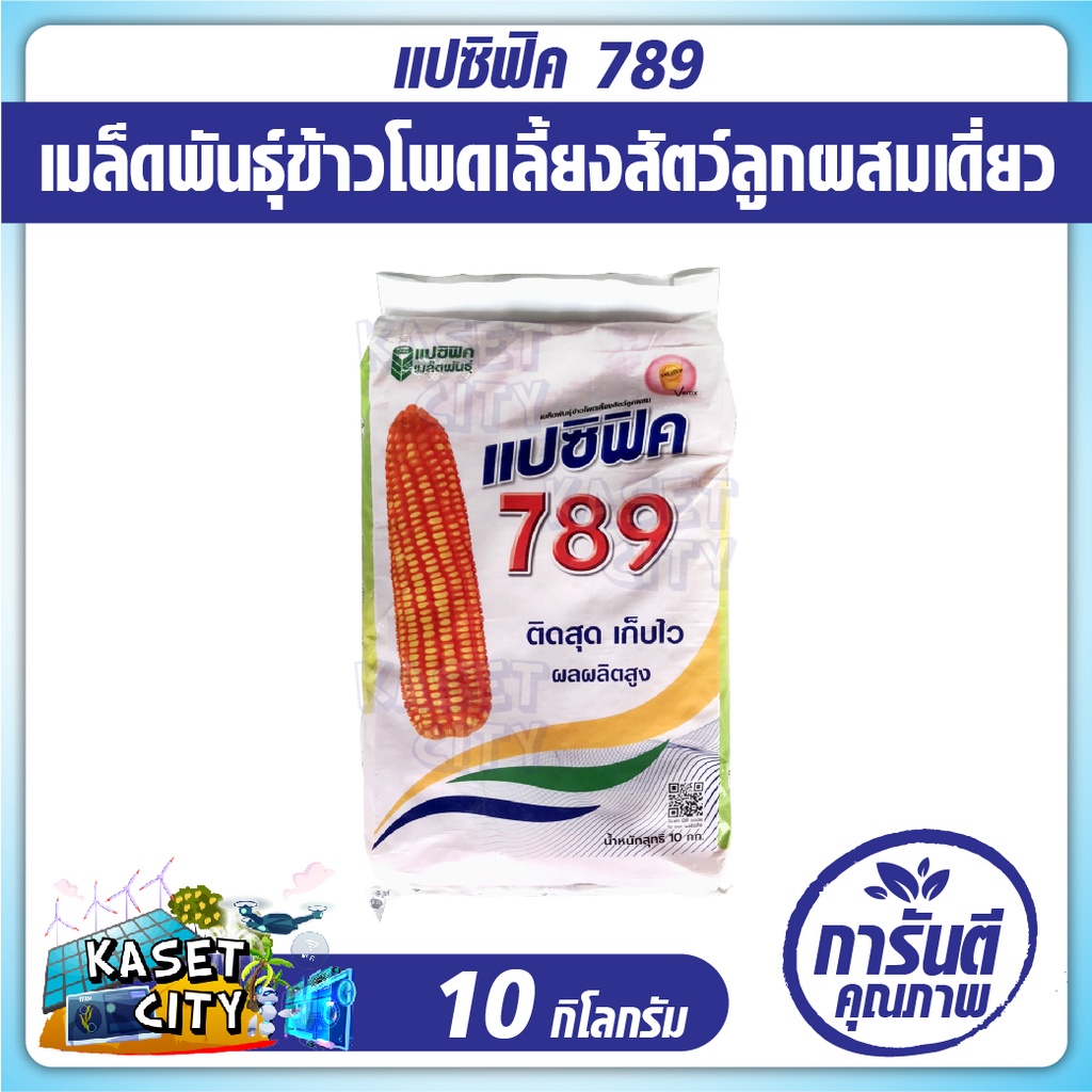 เมล็ดพันธุ์ข้าวโพดเลี้ยงสัตว์ลูกผสมเดี่ยว ตราแปซิฟิค789 เมล็ดพันธุ์ 10 กิโลกรัม (ข้าวโพด เมล็ดพันธุ์