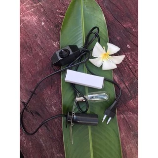 โคมไฟเกลือ หิมาลัย พร้อมสายไฟและหลอด (สายไฟแบบ Dimmer ) คัดสรรมาพิเศษ ทั้งทรงและสี รับประกันความสวยงาม ขนาด4-6 kgs