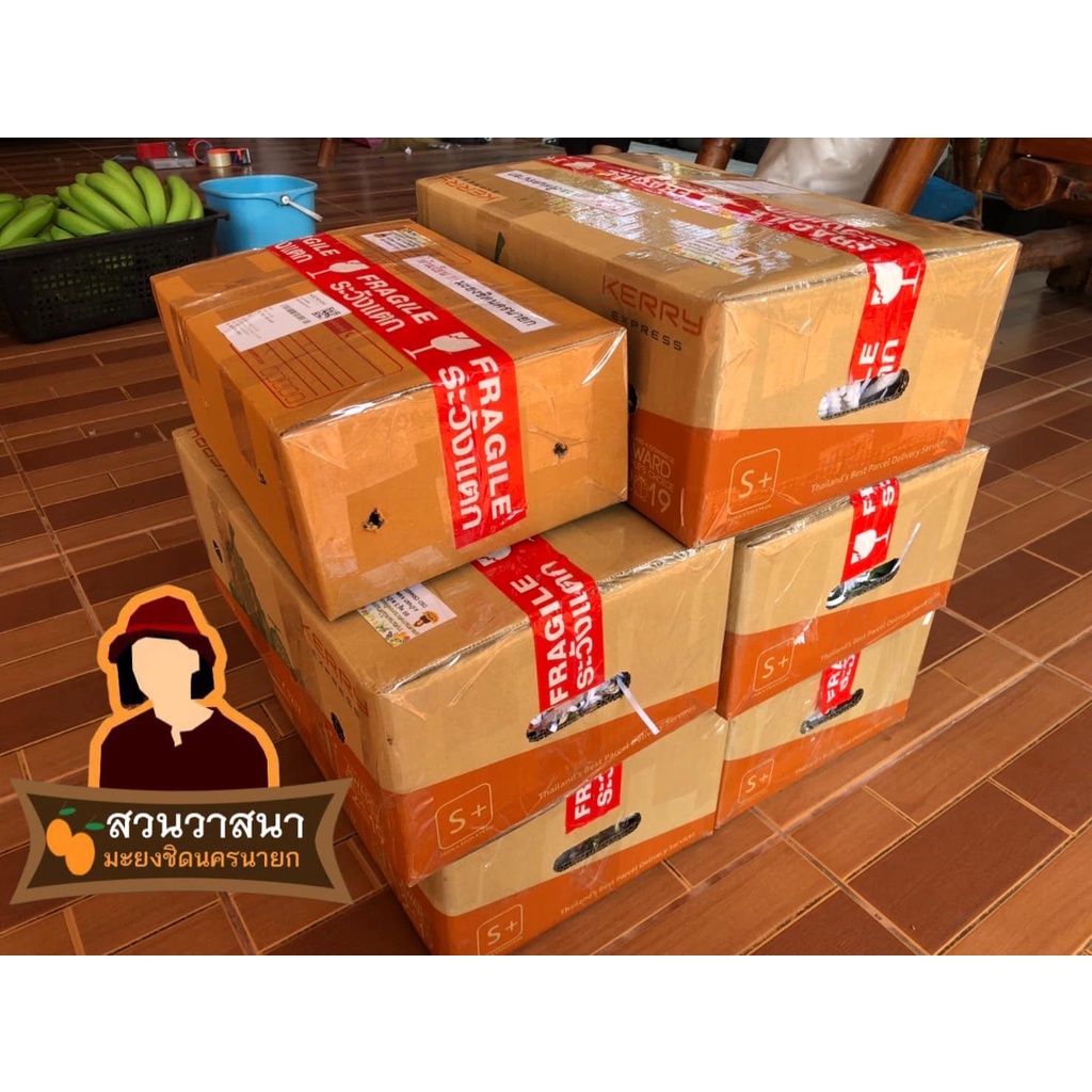 มะยงชิดนครนายก สวนวาสนา 18 - 20 ลูก/กิโลกรัม แท้ อร่อยมากๆ - รูปที่ 6