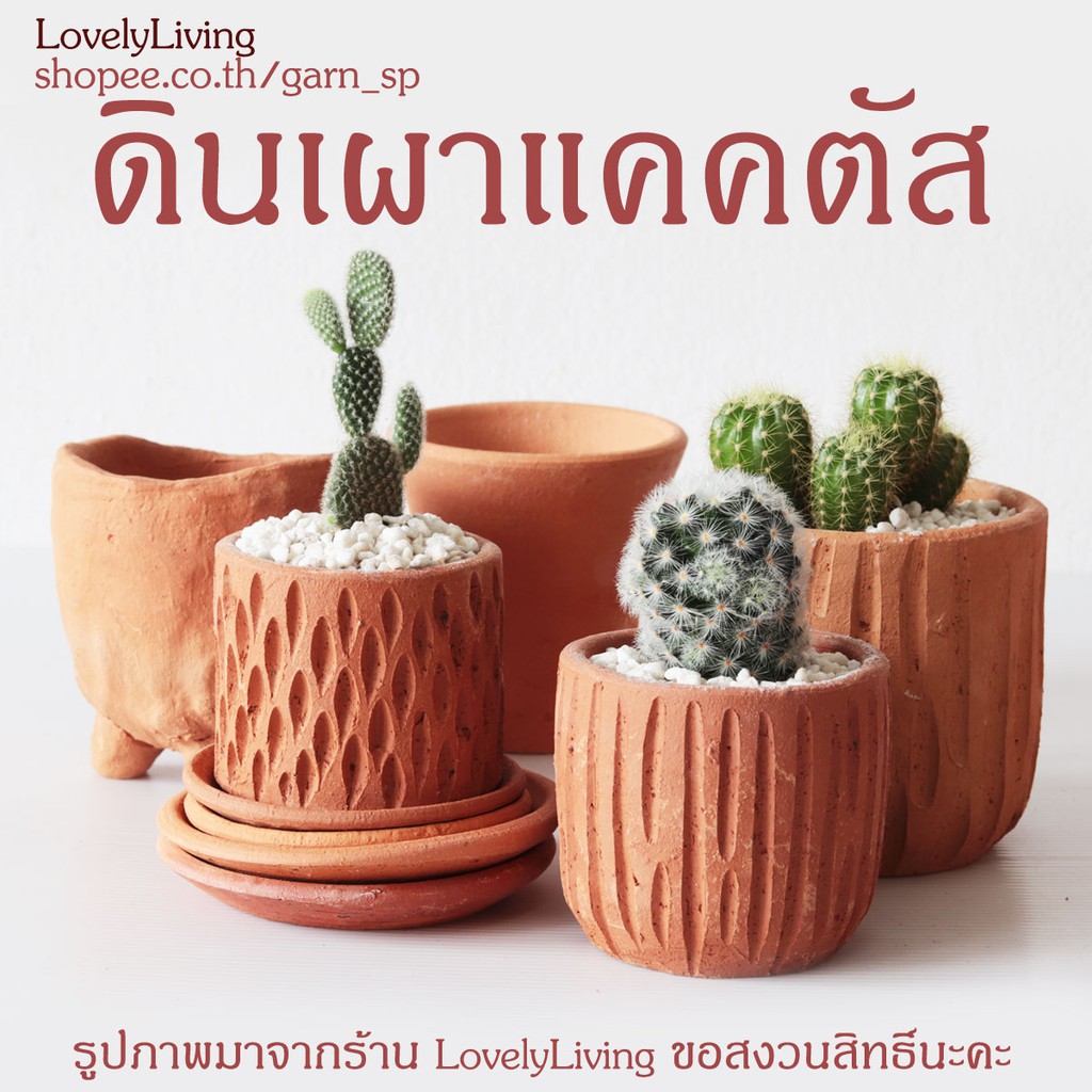 กระถางดินเผาขนาดเล็ก 3 นิ้ว เหมาะสำหรับปลูกต้นกระบองเพชร แคคตัส หรือไม้อวบน้ำ
