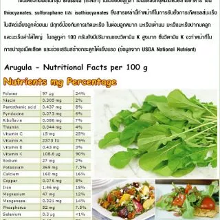 50 เมล็ด เมล็ดพันธุ์ อลูกูล่า ร็อคเก็ต Arugula Rocket