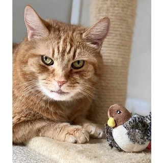 [🚚 พร้อมส่ง] Gigwi นกมีเสียง Interactive Cat Toys ของเล่นแมว ตุ๊กตารูปสัตว์พร้อมเสียงร้อง ตุ๊กตาแมว