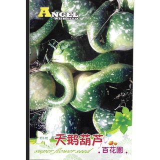 เมล็ดพันธุ์ น้ำเต้า หงส์ฟ้า (Speckled Swan Gourd Seed) บรรจุ 5 เมล็ด