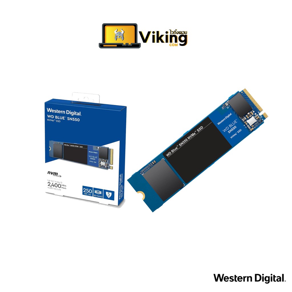SSD 250 GB / 500 GB M.2 PCIe WD Blue SN550
