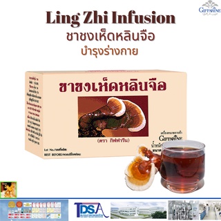 ชาชงเห็ดหลินจือ กิฟฟารีน Ling Zhi InfusionGIFFARINE