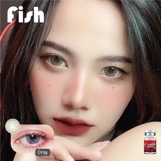 ✨Fish gray (lovely lens) ขนาดมินิ กลาง mini  ☀️กรองแสง uv ✔️เลนส์แท้จดทะเบียนถูกต้อง (บิ๊กอาย คอนแทคเลนส์ Bigeye)